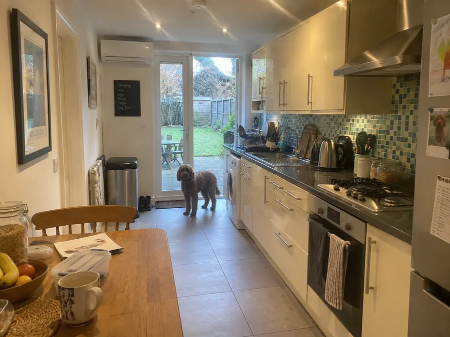 Galley kitchen through to the garden doors, with a dog in the doorway
