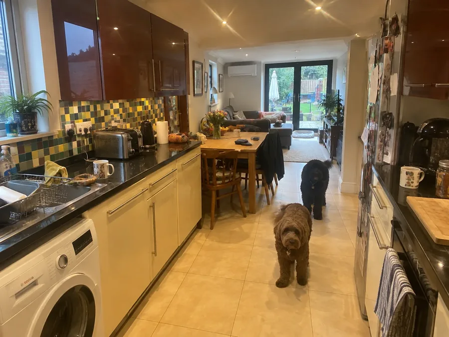 Galley kitchen looking through to the dining room, with two dogs in the doorway
